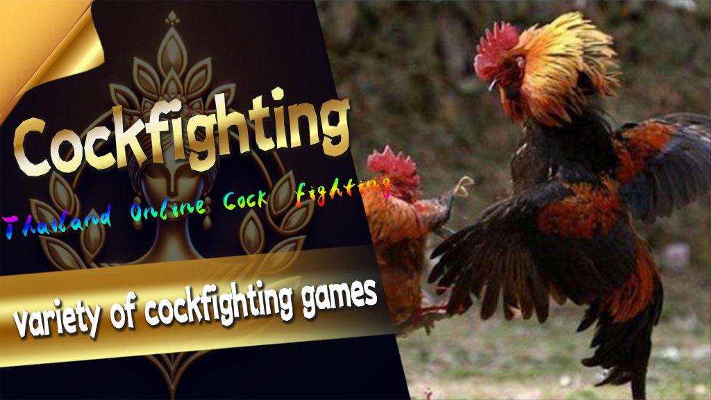 Thailand Online Cockfighting Introduction
