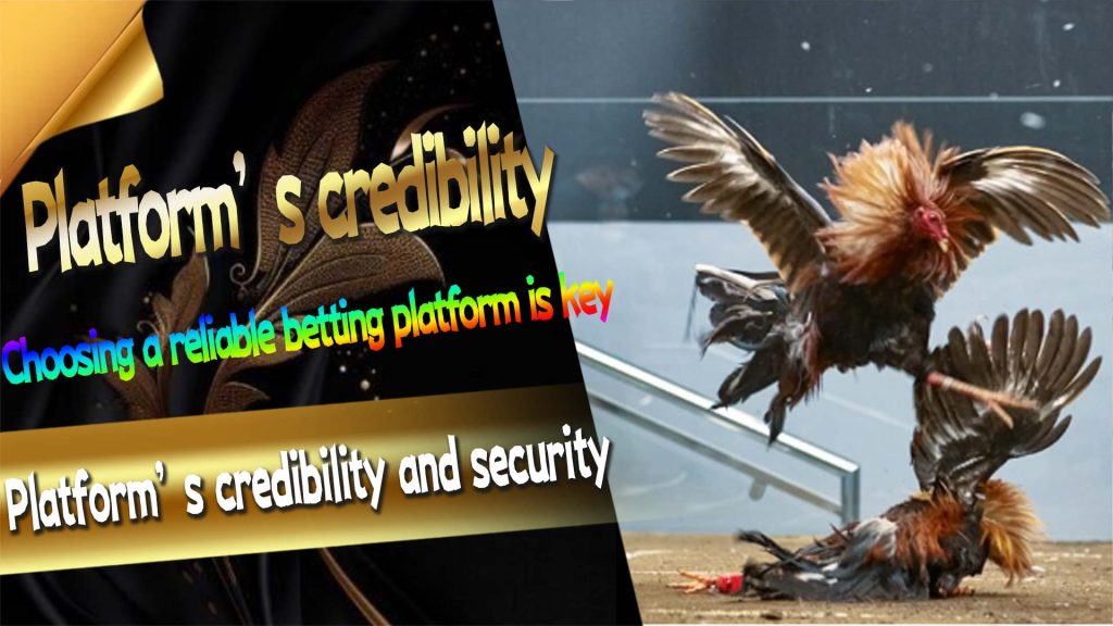 Platform’s credibility and security