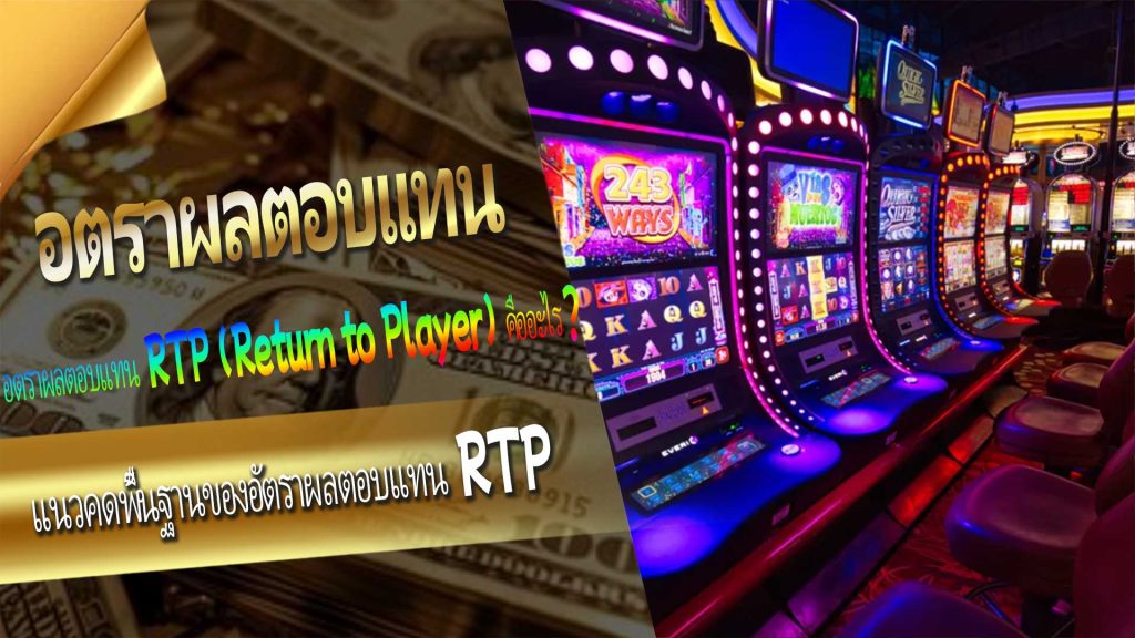 แนวคิดพื้นฐานของอัตราผลตอบแทน RTP