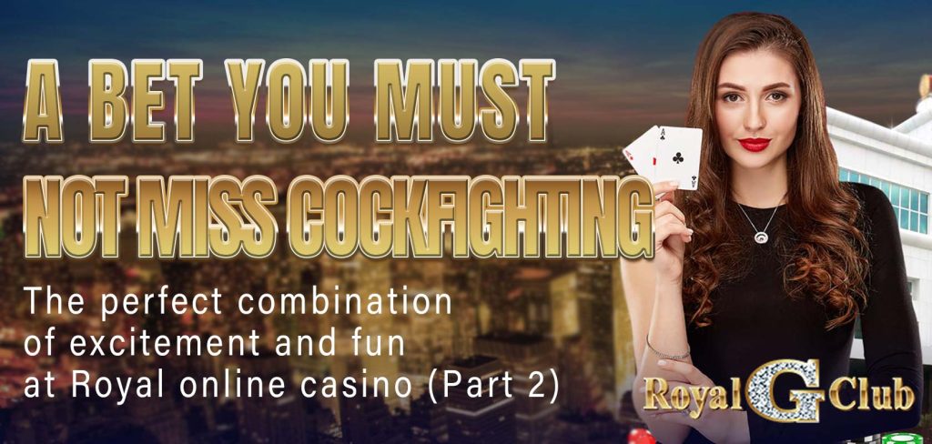 A bet you must not miss - cockfighting the perfect combination of excitement and fun at Royal online casino (Part 2)