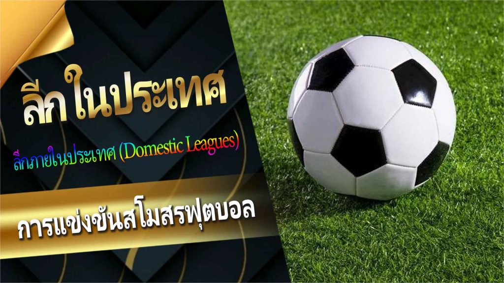 การแข่งขันสโมสรฟุตบอล: ลีกในประเทศ