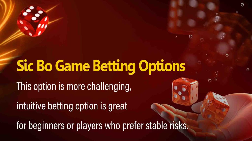 Sic Bo Game Betting Options